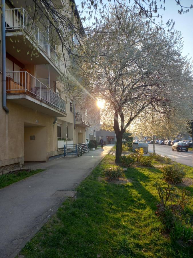 Apartment Jarun Comfort Ζάγκρεμπ Εξωτερικό φωτογραφία
