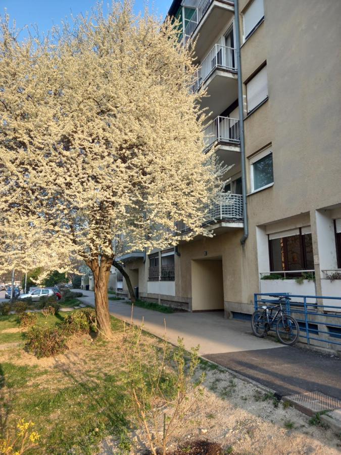 Apartment Jarun Comfort Ζάγκρεμπ Εξωτερικό φωτογραφία